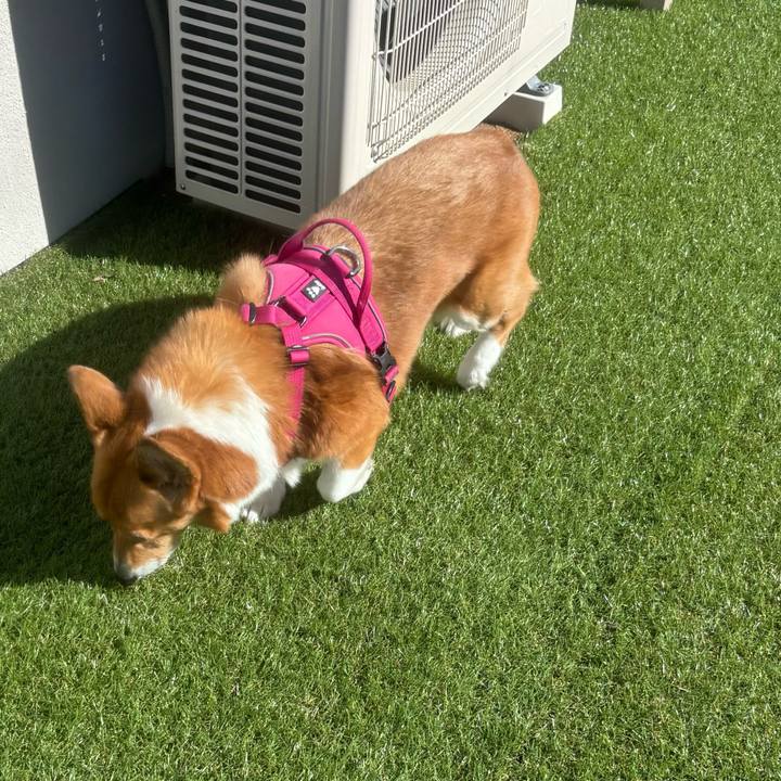 Dd95df74 7b23 4007 a9ec 74a76e1b08eb 1737169972069