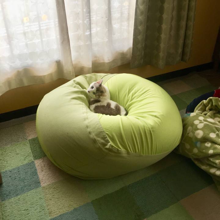 Dd960bae 484f 4fd4 9eba ff79e0d8e648 1548390716841