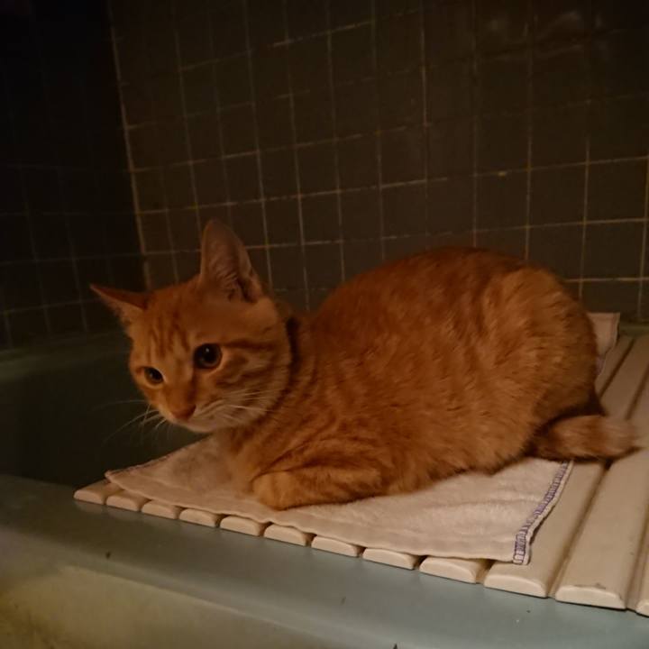 Dd9621e5 4cac 4243 b87d 04172c1c8153 1636104705376