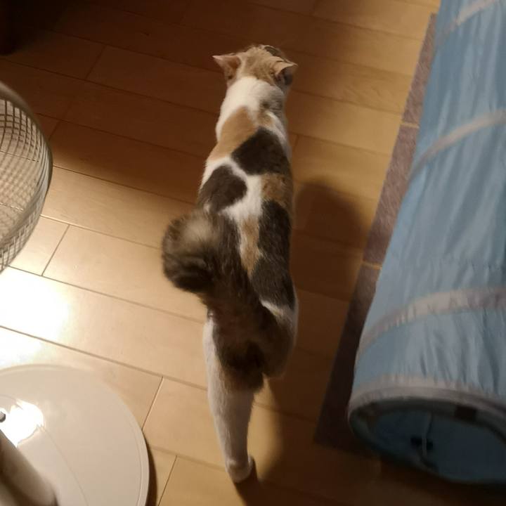 Dd9638bd de0e 47c6 af7a a9baab7a03ad 1567003347938