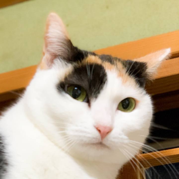 Dd963c8c 5fb4 46a2 a535 42d3963cf6eb 1583804180450