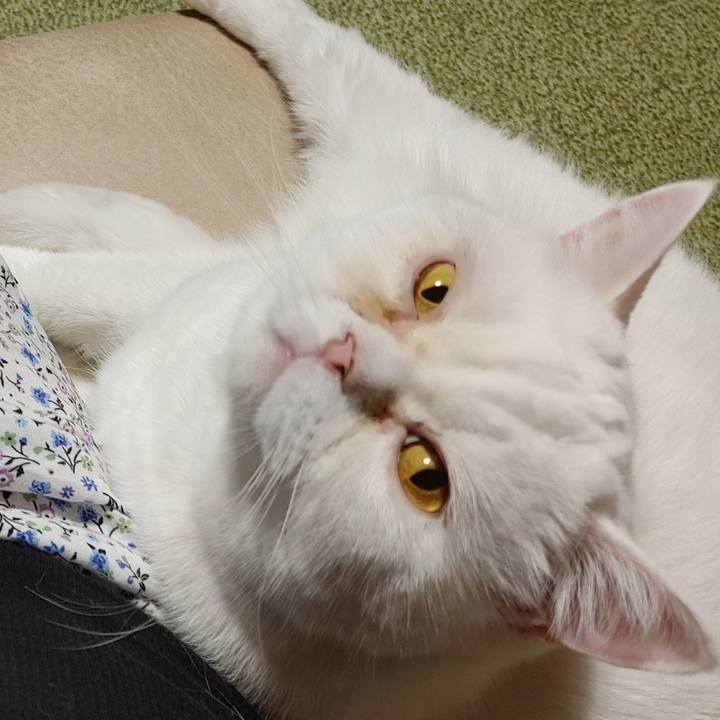 Dd964a70 1aef 4793 b832 47cbb957bc46 1660726463688