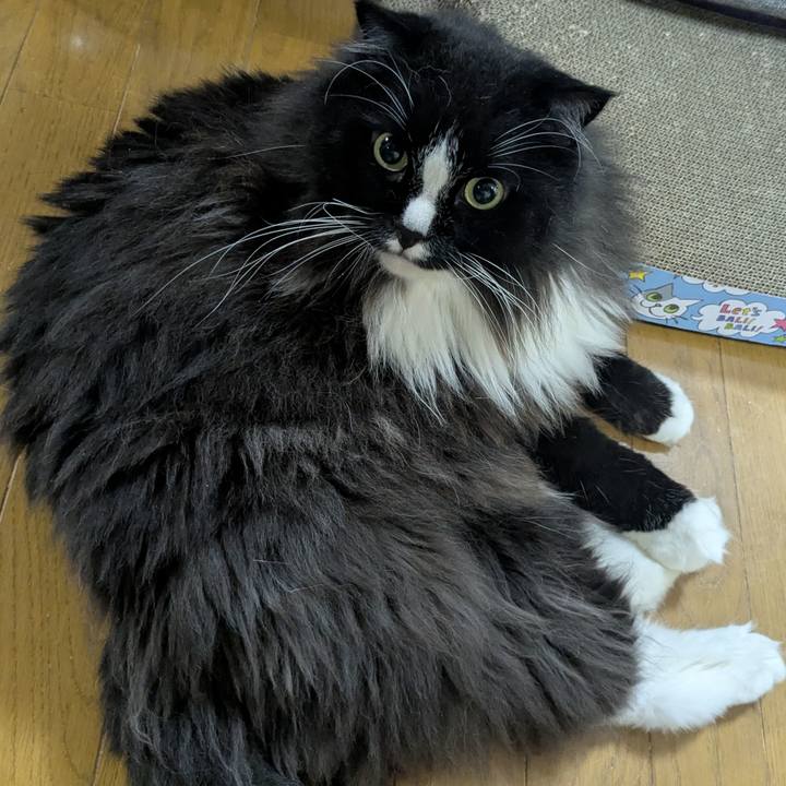 Dd966a03 15c7 4058 a21e 4cd942dad209 1757376909991