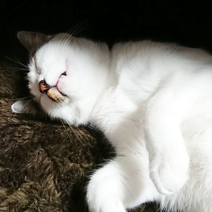 Dd966af9 1705 4aca b6a5 89825a4f429a 1509865351377