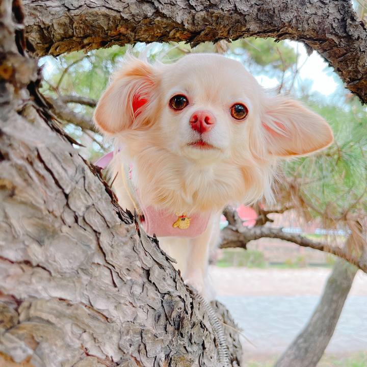 Dd96861b dbca 41fb a7b5 bb147ee624d4 1648351361861