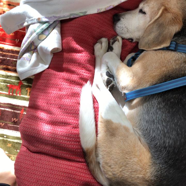 Dd96f0b4 e4e1 489d b82b 08e301eb3dba 1605081772972