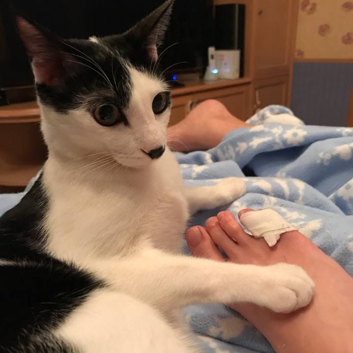 Dd971066 f8b3 4456 8079 086407051d6a 1508627168695