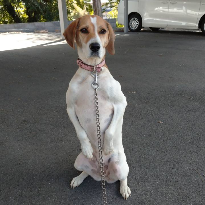 Dd971aca e611 4ae5 a7b7 1f6f848c5bf9 1602732713859