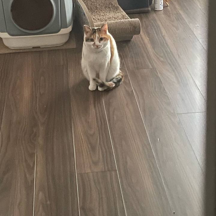 Dd9745c3 6627 48a5 8fe4 6939eda96656 1711324944205