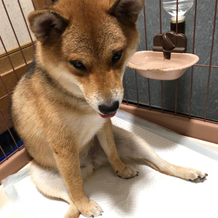 Dd974fc8 db02 469c 94b3 cd9244d6e343 1539904564674