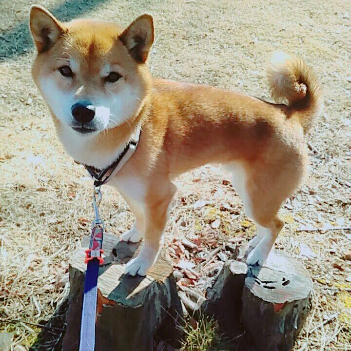 Dd97a1c2 f73f 4e30 8332 1f0453d52cc1 1579505636670