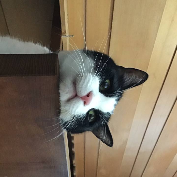 Dd97adcb 2213 4999 ae96 3b819992faf8 1753099465552