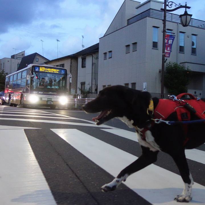 Dd97d06e eb43 4135 a4b1 c9f7636a19ea 1598525223708