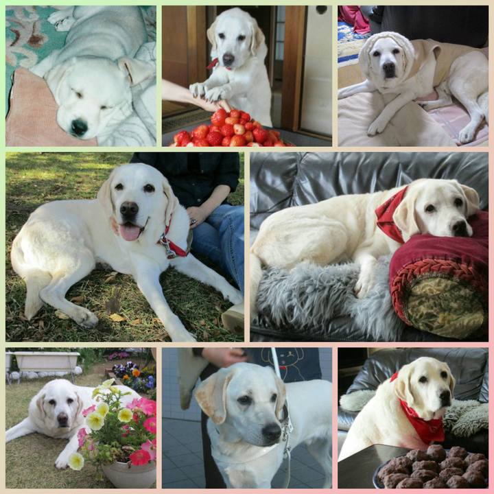 Dd97d824 0a80 4b0c 8720 bb4e516e7079 1603146813850