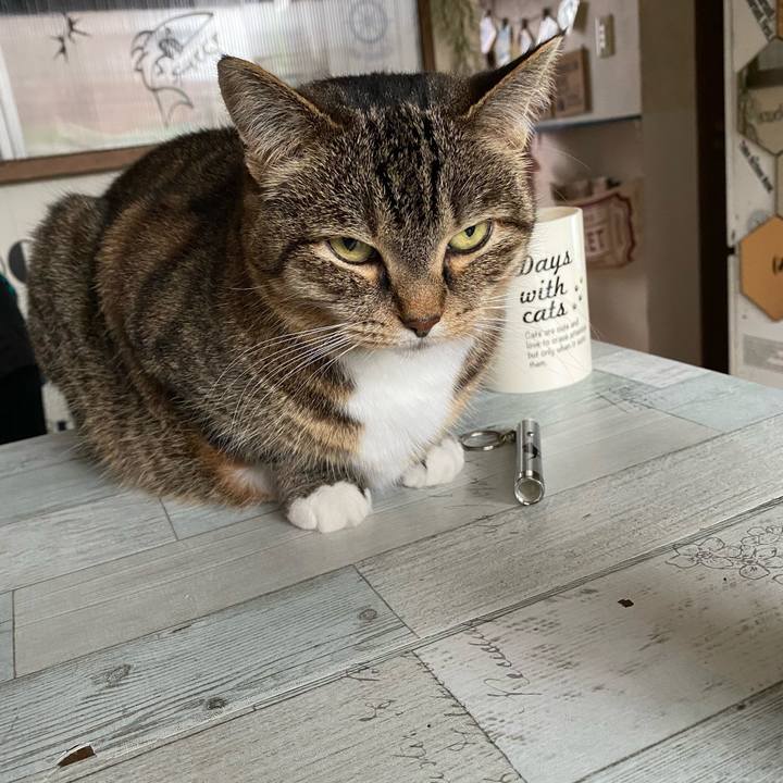 Dd97fe14 efbe 40f2 801a 0713aea82df8 1621499411903