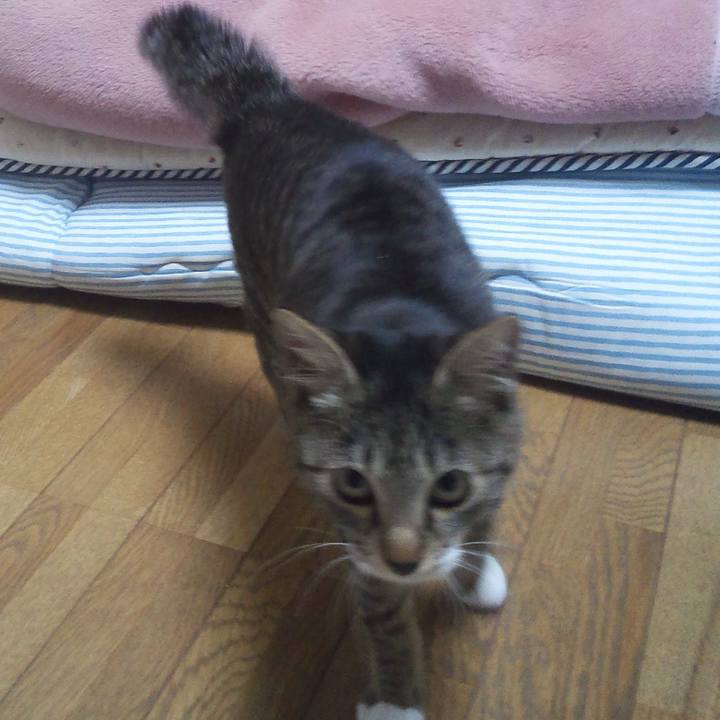 Dd987094 1b75 44e7 847c dd0d7fe09d98 1607058490183