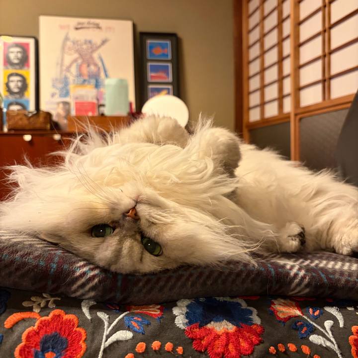 Dd987d24 a787 4ffd 9d19 23e90baab0a2 1771250066727