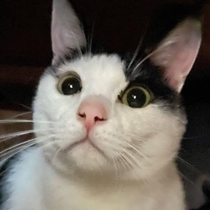 Dd98b32c 3bf2 4889 954e 09f9d2f45311 1576972911098