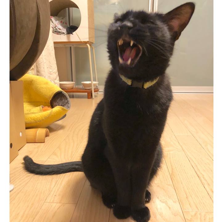 Dd98b543 236e 4313 8a5b 87954e5e14db 1543235604568