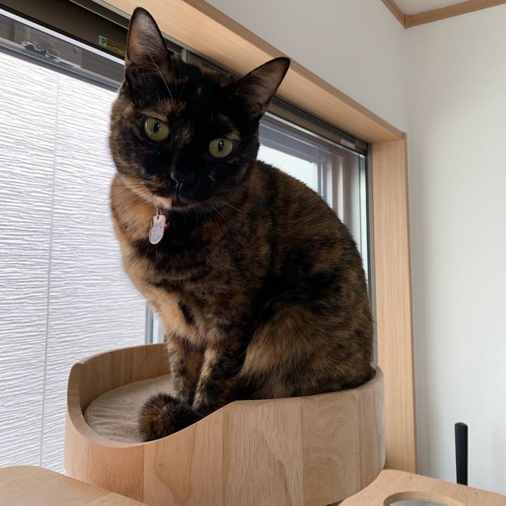 Dd98e2f6 97df 4723 9796 fc13cc38baf0 1551190817662