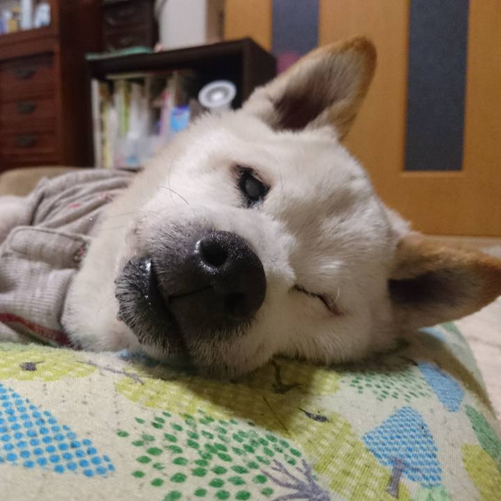 Dd990e26 17da 422d a278 eebbcd06d9ab 1527249677710