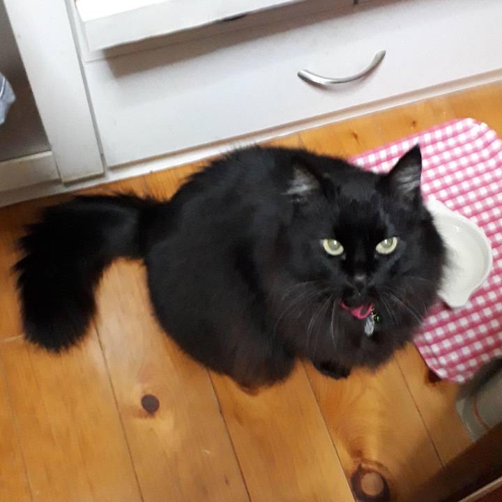 Dd992563 5473 4988 ba1c 6b492dc2ca32 1519586878096