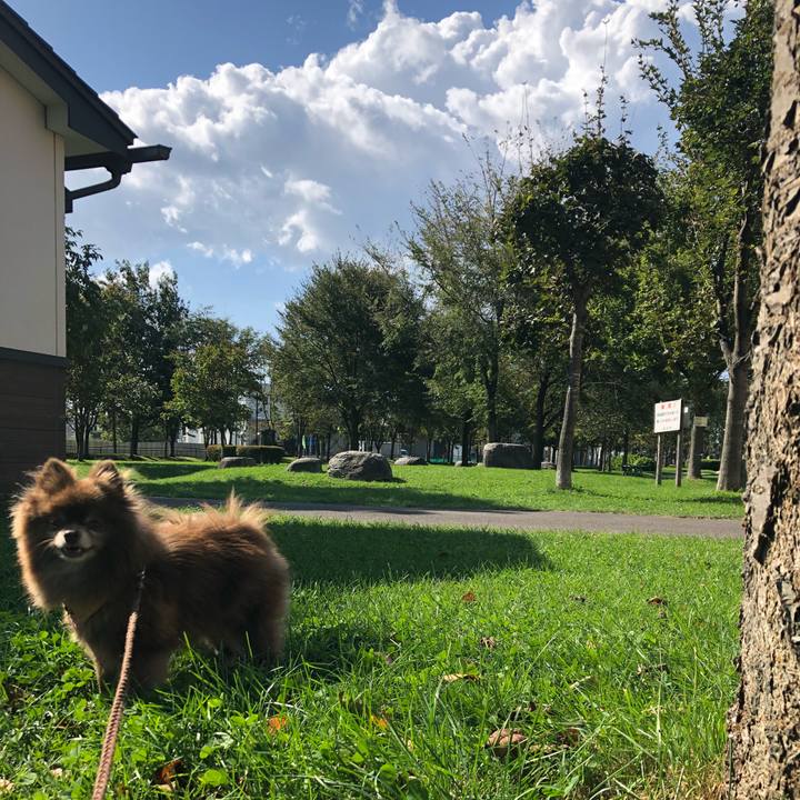 Dd994295 9dac 43a0 9572 3bc14497a3fd 1537321318013