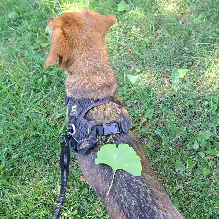 Dd9972ad 1f93 4b3f a088 eec3a11e3888 1759354570246