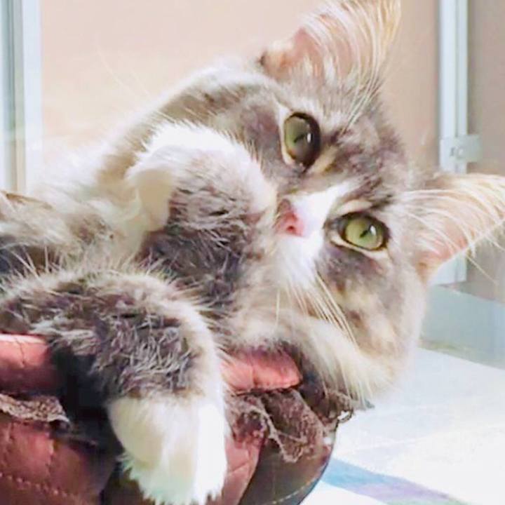 Dd997e0c 4d86 46a3 9f8a 801f71aa5a8e 1564541296775