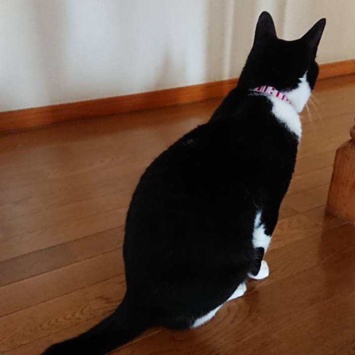 Dd998454 c3bd 4304 9e7b 2c93456a9e7f 1655593677899