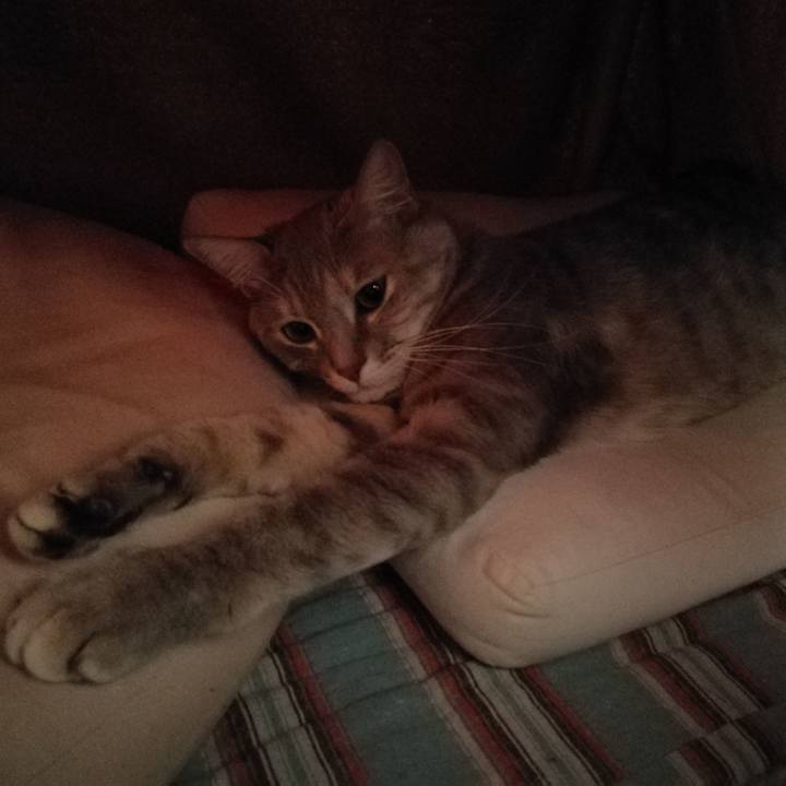 Dd998b9a 91a4 4f6d 8128 9bdfb9122968 1522541878705