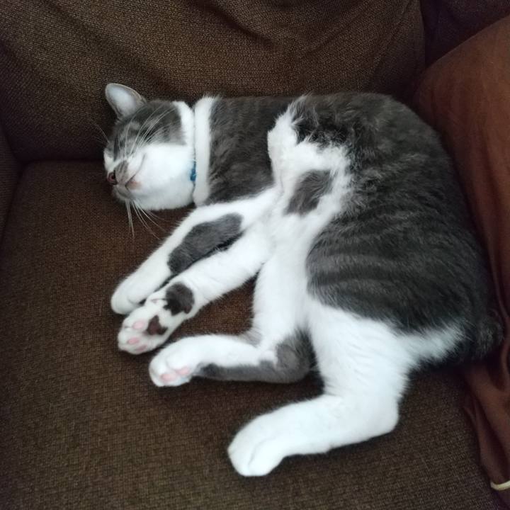 Dd99b115 a248 4f28 8ead 7fbea3e140a1 1605328644183