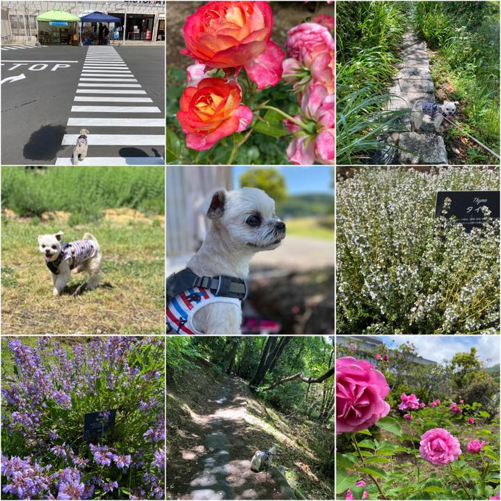 Dd99b6a9 d6f5 429c 8ed1 b6a22c06b100 1589718531068