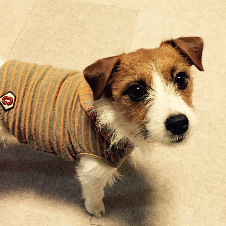 Dd99e9f6 4395 48d4 a391 e79b7a72858b 1512124056470