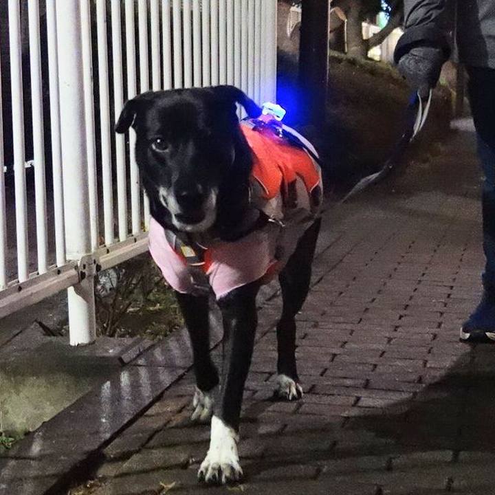 Dd99fcd2 6f8e 4159 9206 d486b4feab39 1705746883160