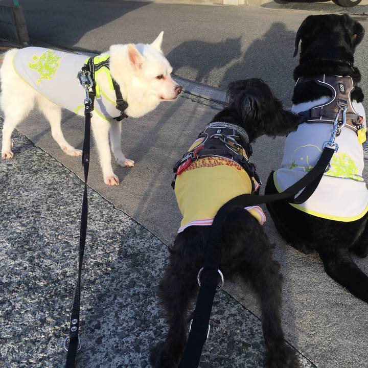 Dd9a43f2 25d9 4cf5 8199 5c460d3af016 1534457934762