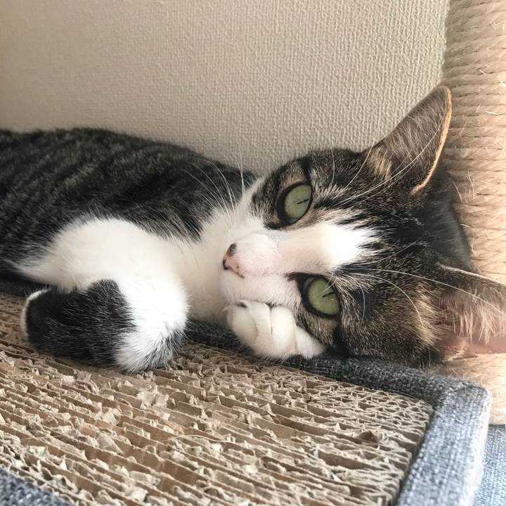 Dd9a464b 5a08 4623 acab bde579b3cc55 1533341911375