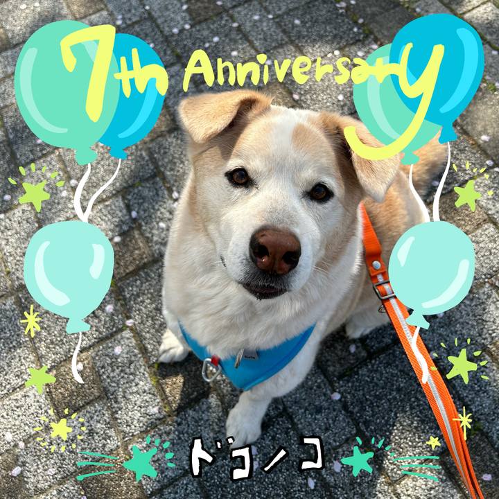 Dd9a4e73 7088 48b3 b094 f75b176335f3 1685969934543