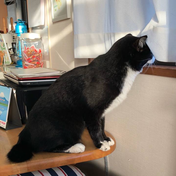 Dd9a573a d79c 4277 ab7c 4c0b8a0608f7 1517123735762