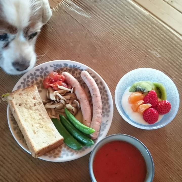 Dd9a660e 781d 43f8 9cf2 833c390e4e8d 1520897506164