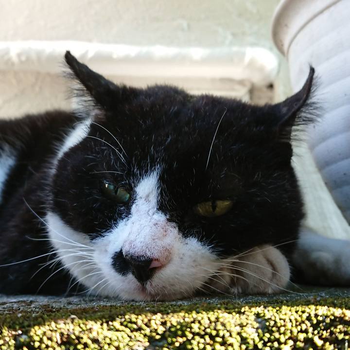 Dd9aa002 e284 49d6 8497 97056421d2b2 1628066425326