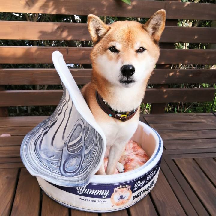 Dd9aa23a 0fc8 4fb5 86bd 651a9c2686e7 1605181311406