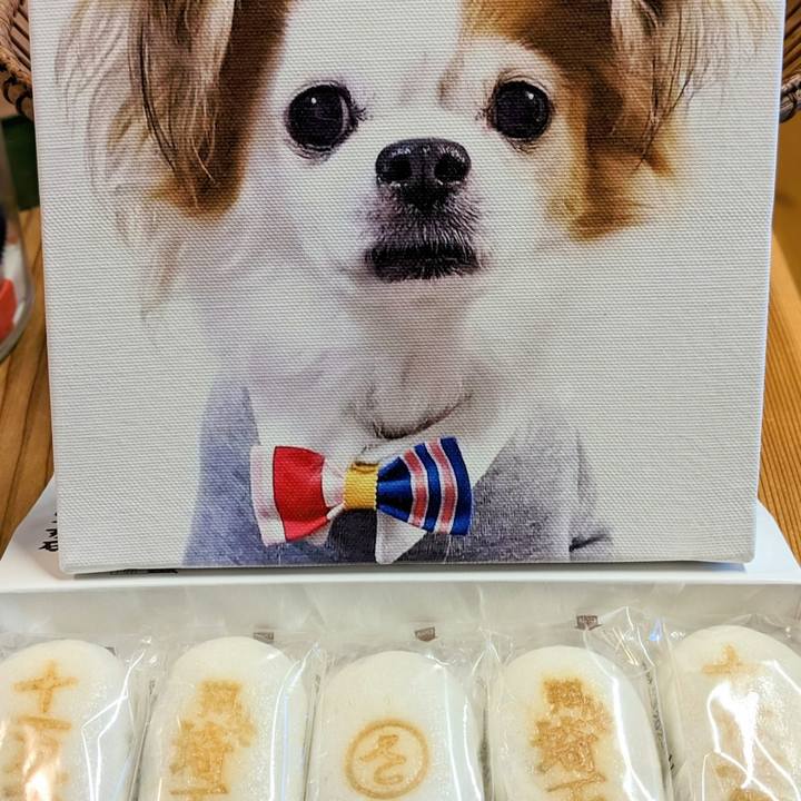 Dd9aba16 88a8 4d2f 91ba e8fc763db011 1698493964270