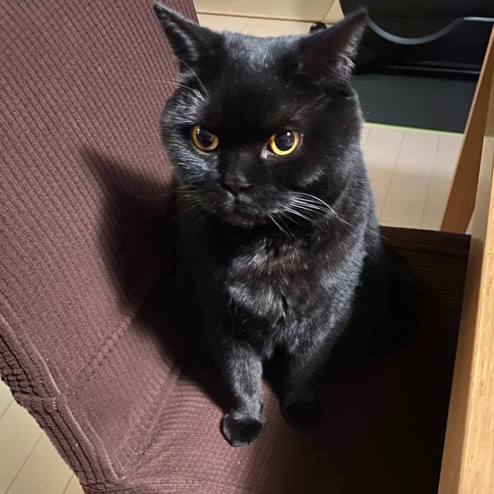 Dd9ae2ec 4099 45ec 8b0f 784e027dd5bc 1681389952043