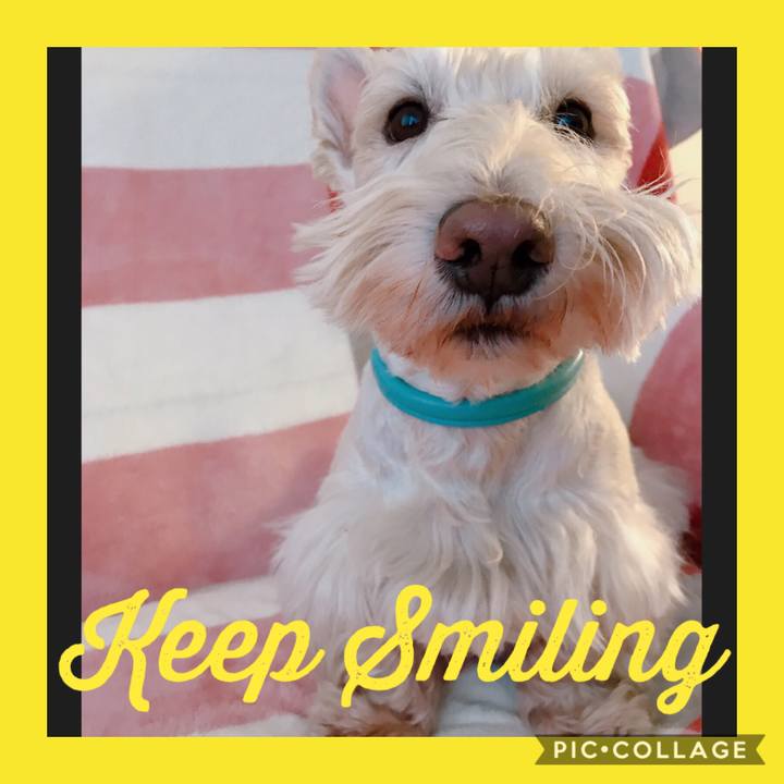 Dd9b0e2d ee71 4914 ae3e e4058d496e0e 1545787278088