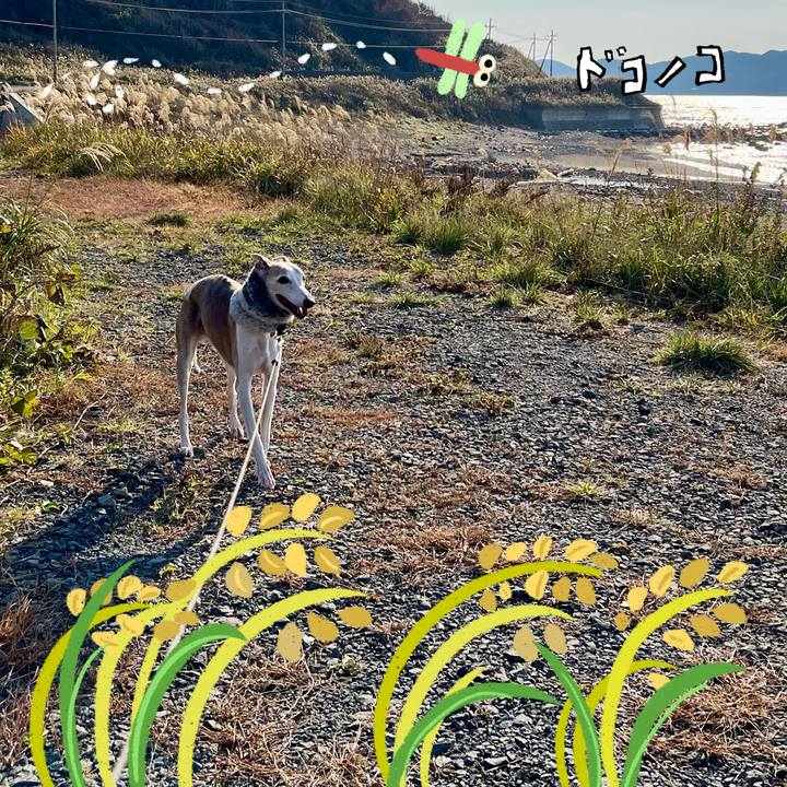 Dd9b4b53 6506 4640 9f7e 48c85016d745 1761985508214