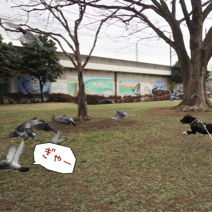 Dd9b69c3 eb9f 4229 b910 19ba8d397ac0 1647391631239