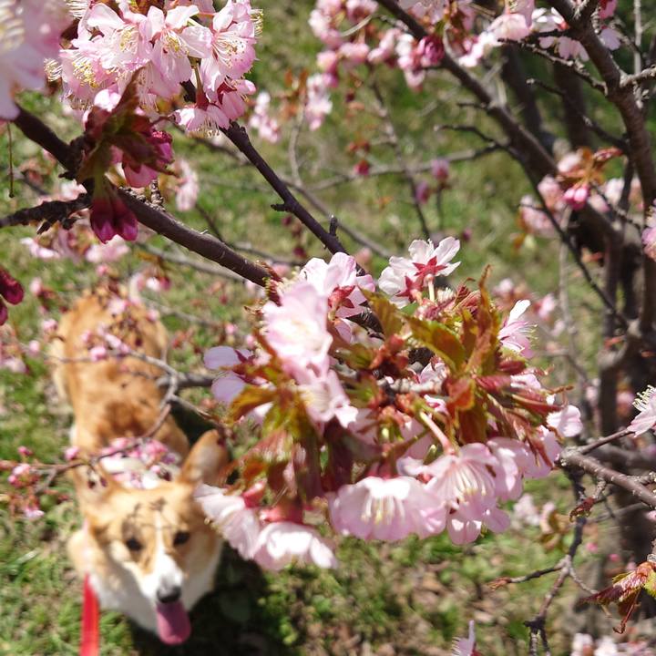 Dd9b889b 1de5 437c a388 07a565785073 1776579890252