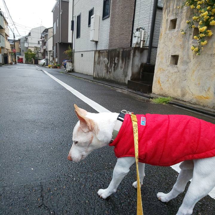 Dd9bcebe ac57 427f 85d9 318c1d22064f 1556665100728