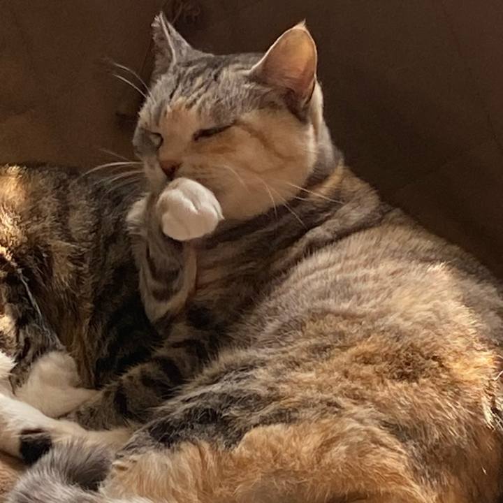 Dd9bfe79 a7be 45a1 b814 23b0ff9d48b9 1646097363319